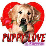 3abaef9f12_21549323_o2.gif