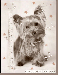 2a5a1fc546_26838458_o2.gif